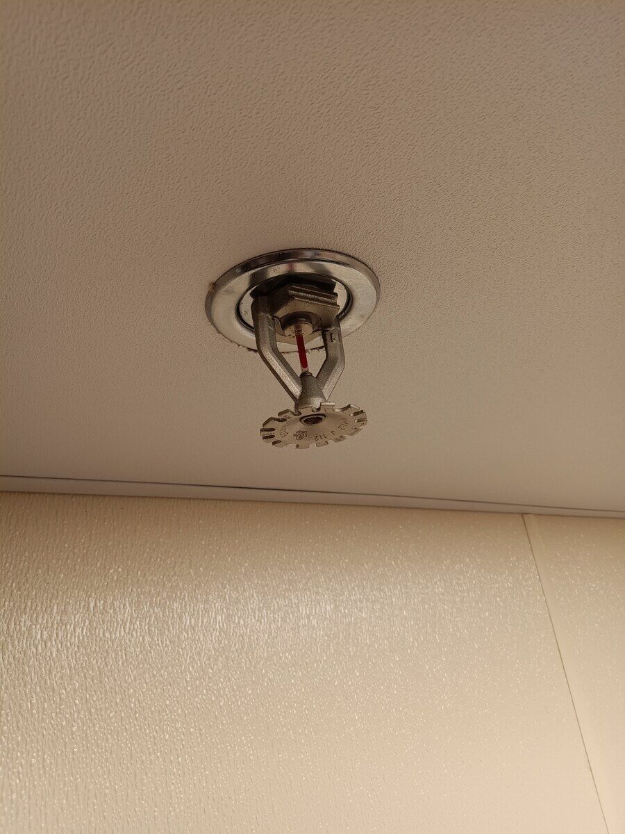 Newly installed clean fire sprinkler head in the ceiling after Paragon replaced a heavily corroded one