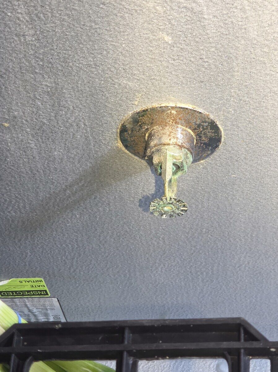 Before: Walk-in cooler sprinkler — corroded by moisture cycling → new listed head + proper insulation so condensation can't repeat the failure.