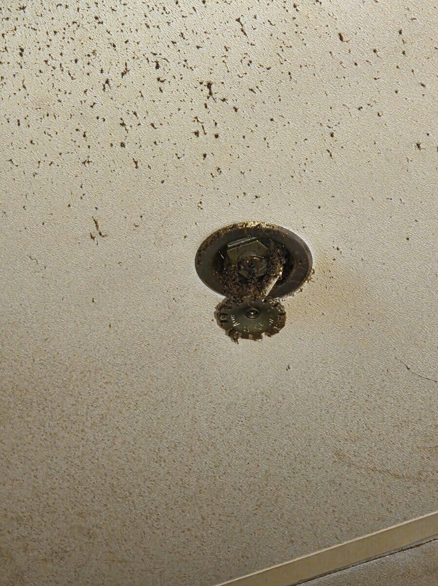 Before: Ceiling sprinkler head — loaded with dust and corroded → new listed head, same temperature rating and K-factor.