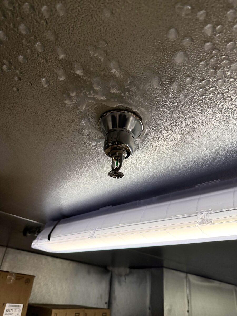 New dry pendent sprinkler installed in the frosted freezer ceiling